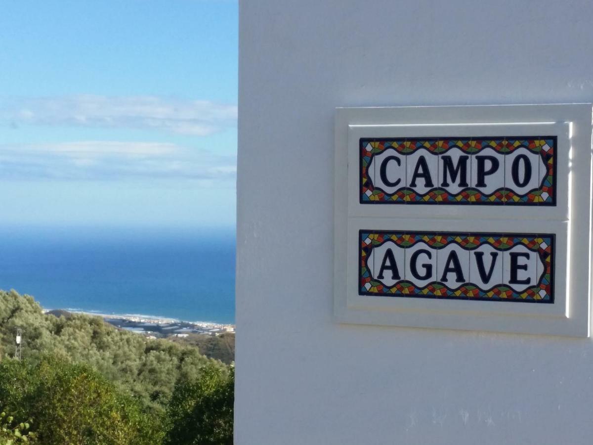 Campo Agave B&B Sayalonga Kültér fotó